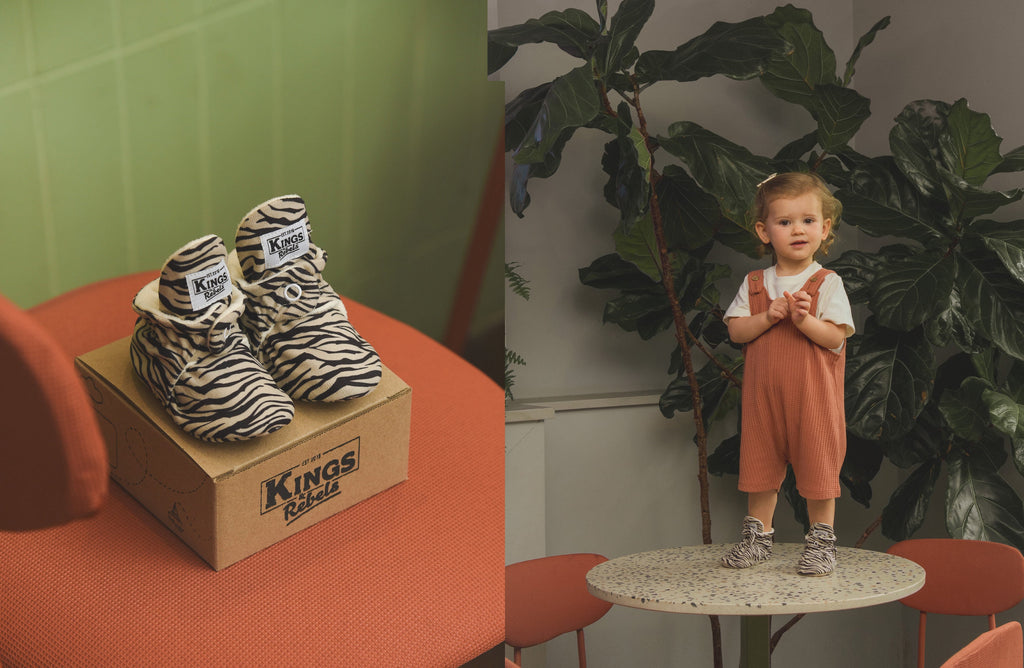 Gamuza Zebra Limited Edition